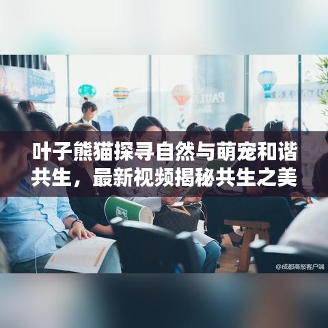 叶子熊猫探寻自然与萌宠和谐共生，最新视频揭秘共生之美！