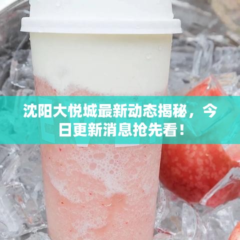 沈阳大悦城最新动态揭秘，今日更新消息抢先看！
