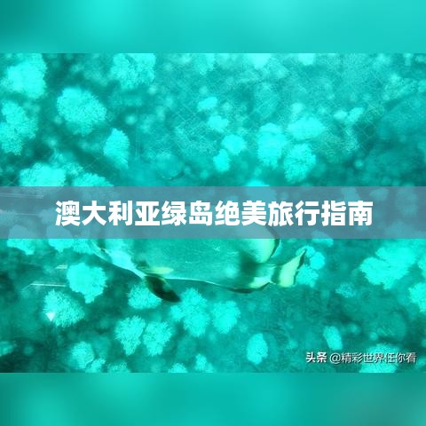 澳大利亚绿岛绝美旅行指南