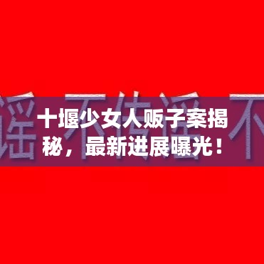 十堰少女人贩子案揭秘，最新进展曝光！