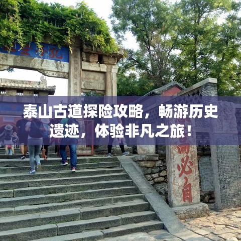 泰山古道探险攻略，畅游历史遗迹，体验非凡之旅！