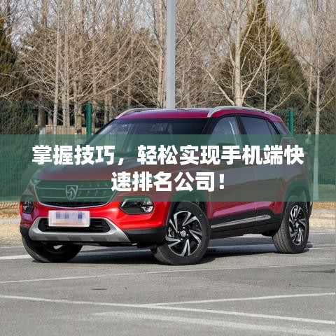 掌握技巧，轻松实现手机端快速排名公司！