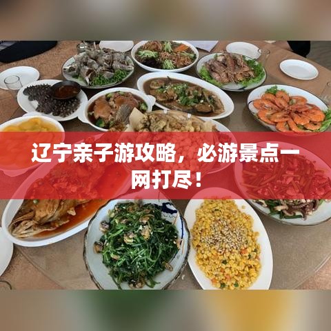 辽宁亲子游攻略，必游景点一网打尽！