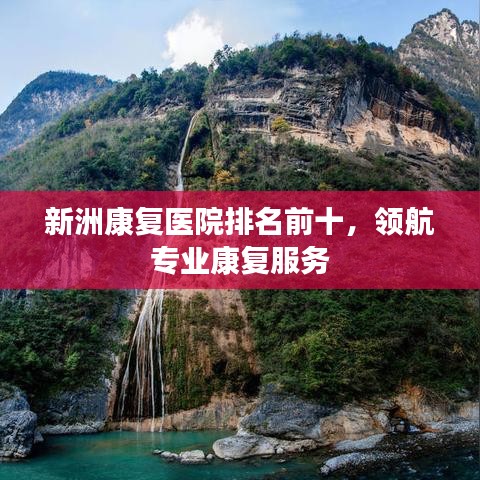 新洲康复医院排名前十，领航专业康复服务