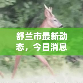 舒兰市最新动态，今日消息一览