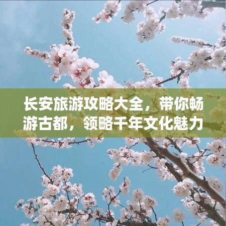 长安旅游攻略大全，带你畅游古都，领略千年文化魅力！