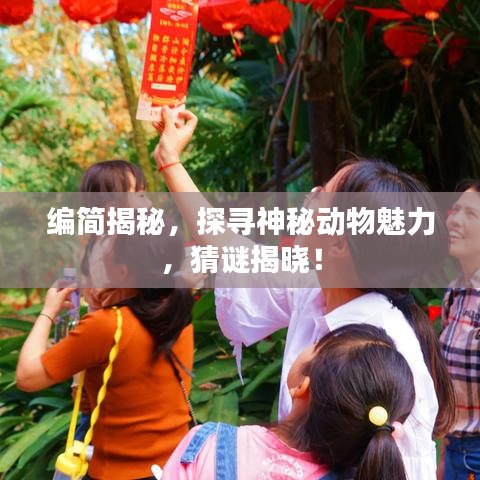 编简揭秘，探寻神秘动物魅力，猜谜揭晓！