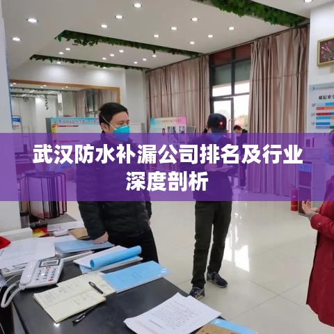 武汉防水补漏公司排名及行业深度剖析