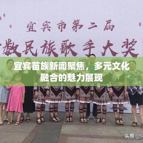 宜宾苗族新闻聚焦，多元文化融合的魅力展现