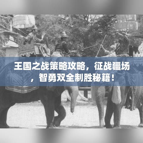 王国之战策略攻略，征战疆场，智勇双全制胜秘籍！