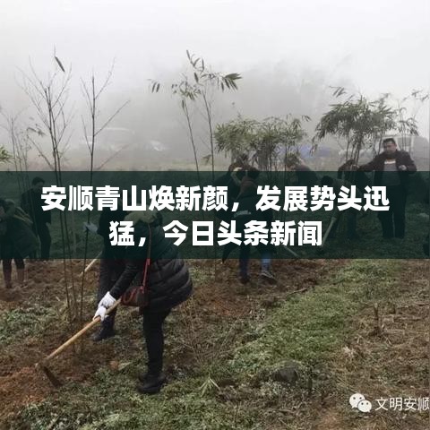 安顺青山焕新颜，发展势头迅猛，今日头条新闻