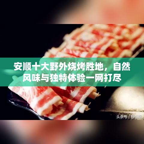 安顺十大野外烧烤胜地，自然风味与独特体验一网打尽