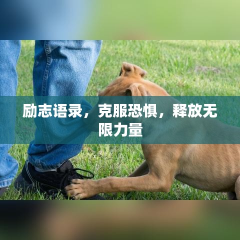 在线咨询 第23页