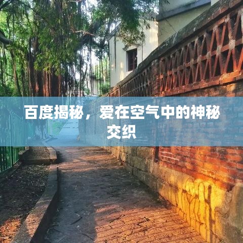 百度揭秘，爱在空气中的神秘交织