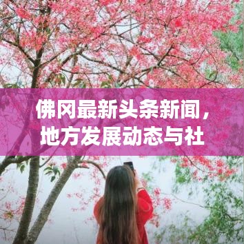佛冈最新头条新闻，地方发展动态与社会热点一网打尽