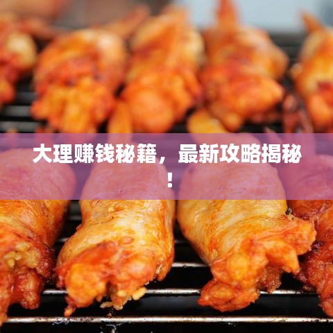 大理赚钱秘籍，最新攻略揭秘！