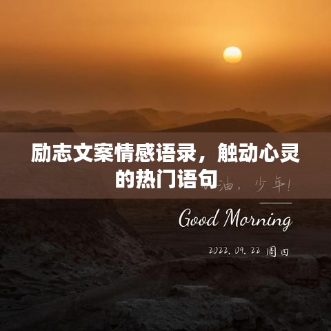 励志文案情感语录，触动心灵的热门语句