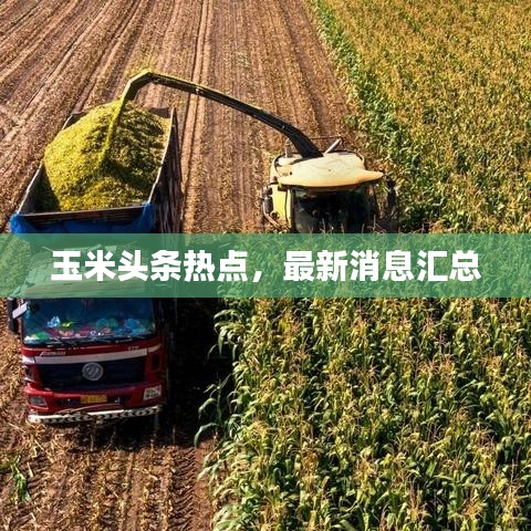 玉米头条热点，最新消息汇总