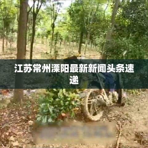 江苏常州溧阳最新新闻头条速递