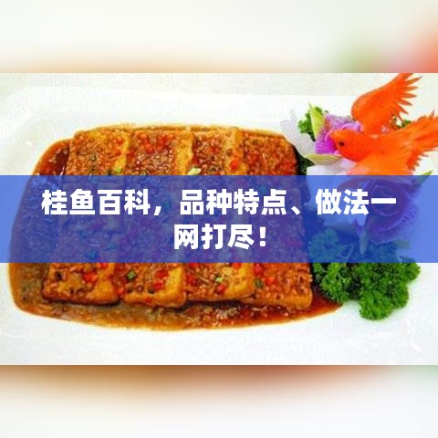 桂鱼百科，品种特点、做法一网打尽！