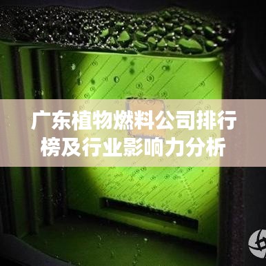 广东植物燃料公司排行榜及行业影响力分析