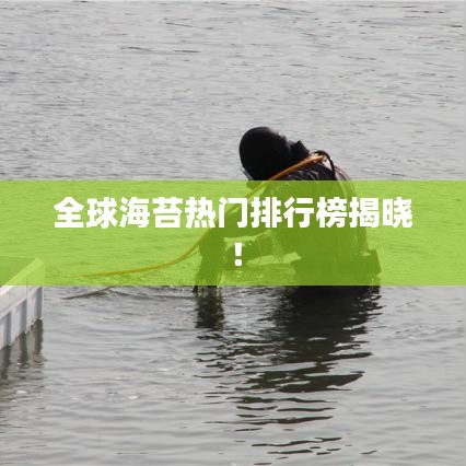 全球海苔热门排行榜揭晓！
