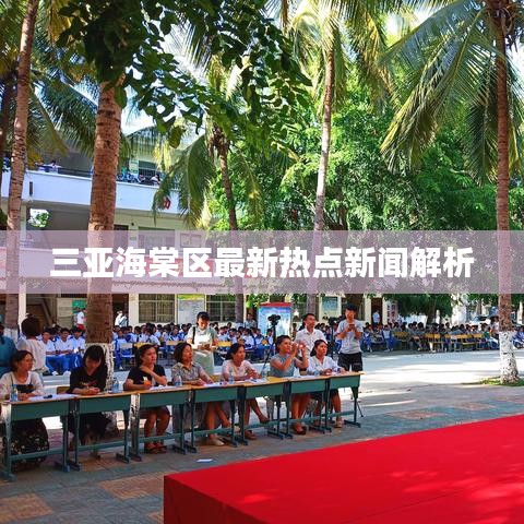 三亚海棠区最新热点新闻解析