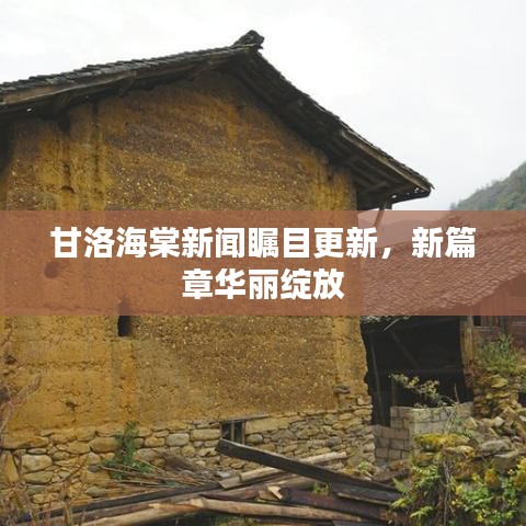 甘洛海棠新闻瞩目更新，新篇章华丽绽放