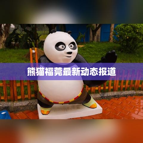 招生院校 第21页
