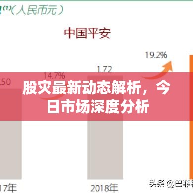 股灾最新动态解析，今日市场深度分析