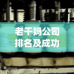 老干妈公司排名及成功因素深度解析