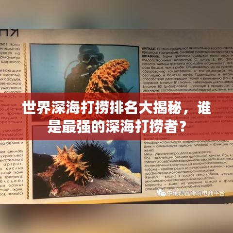 世界深海打捞排名大揭秘，谁是最强的深海打捞者？