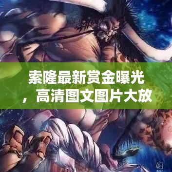 索隆最新赏金曝光，高清图文图片大放送！