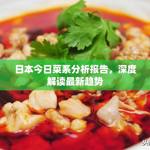 日本今日菜系分析报告，深度解读最新趋势