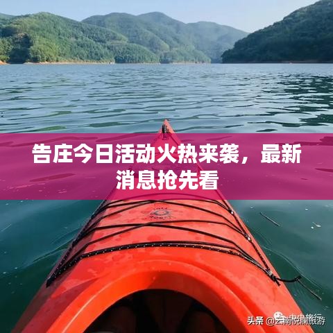告庄今日活动火热来袭，最新消息抢先看