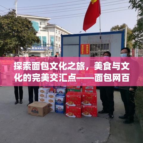 探索面包文化之旅，美食与文化的完美交汇点——面包网百度独家呈现