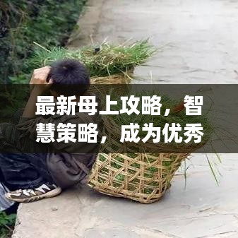最新母上攻略，智慧策略，成为优秀母亲的必修课