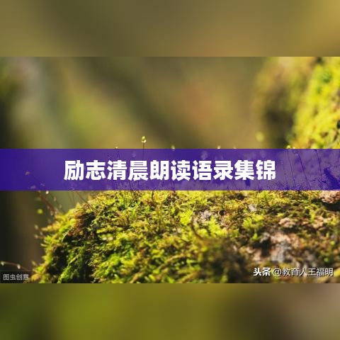 励志清晨朗读语录集锦
