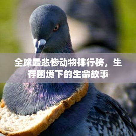 全球最悲惨动物排行榜，生存困境下的生命故事