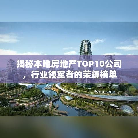 揭秘本地房地产TOP10公司，行业领军者的荣耀榜单