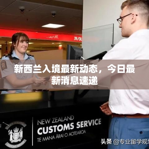 新西兰入境最新动态，今日最新消息速递