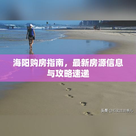 海阳购房指南，最新房源信息与攻略速递