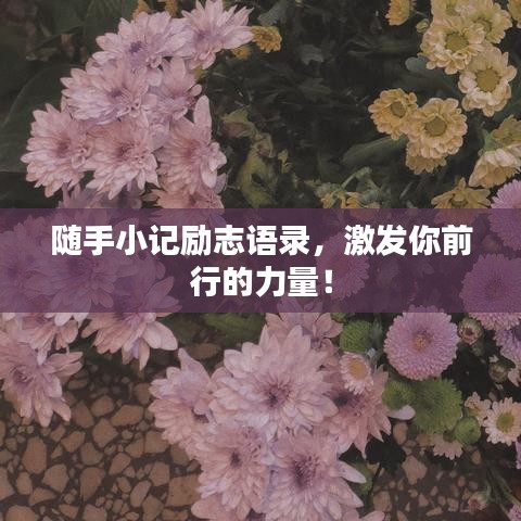 随手小记励志语录，激发你前行的力量！