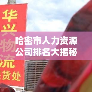 哈密市人力资源公司排名大揭秘，权威榜单，不容错过！