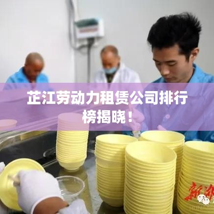 芷江劳动力租赁公司排行榜揭晓！