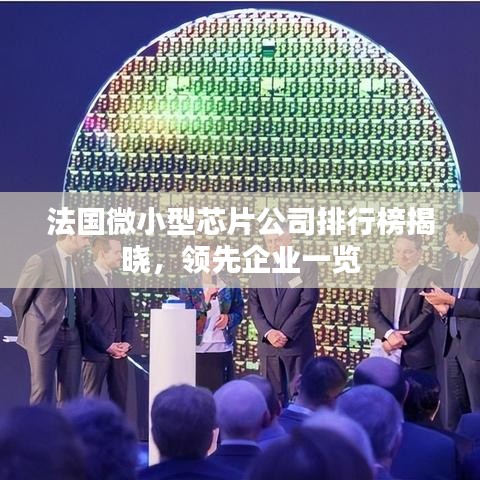 法国微小型芯片公司排行榜揭晓，领先企业一览