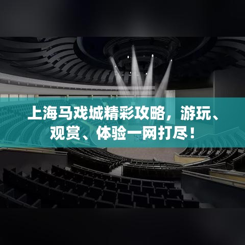 上海马戏城精彩攻略，游玩、观赏、体验一网打尽！