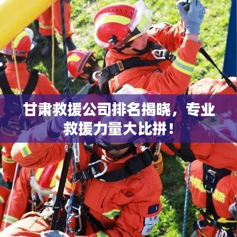 甘肃救援公司排名揭晓，专业救援力量大比拼！