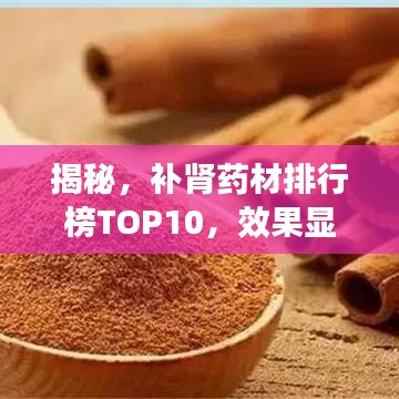 揭秘，补肾药材排行榜TOP10，效果显著，值得收藏！