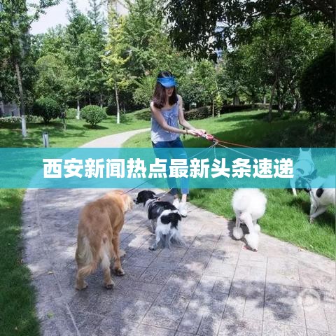 西安新闻热点最新头条速递